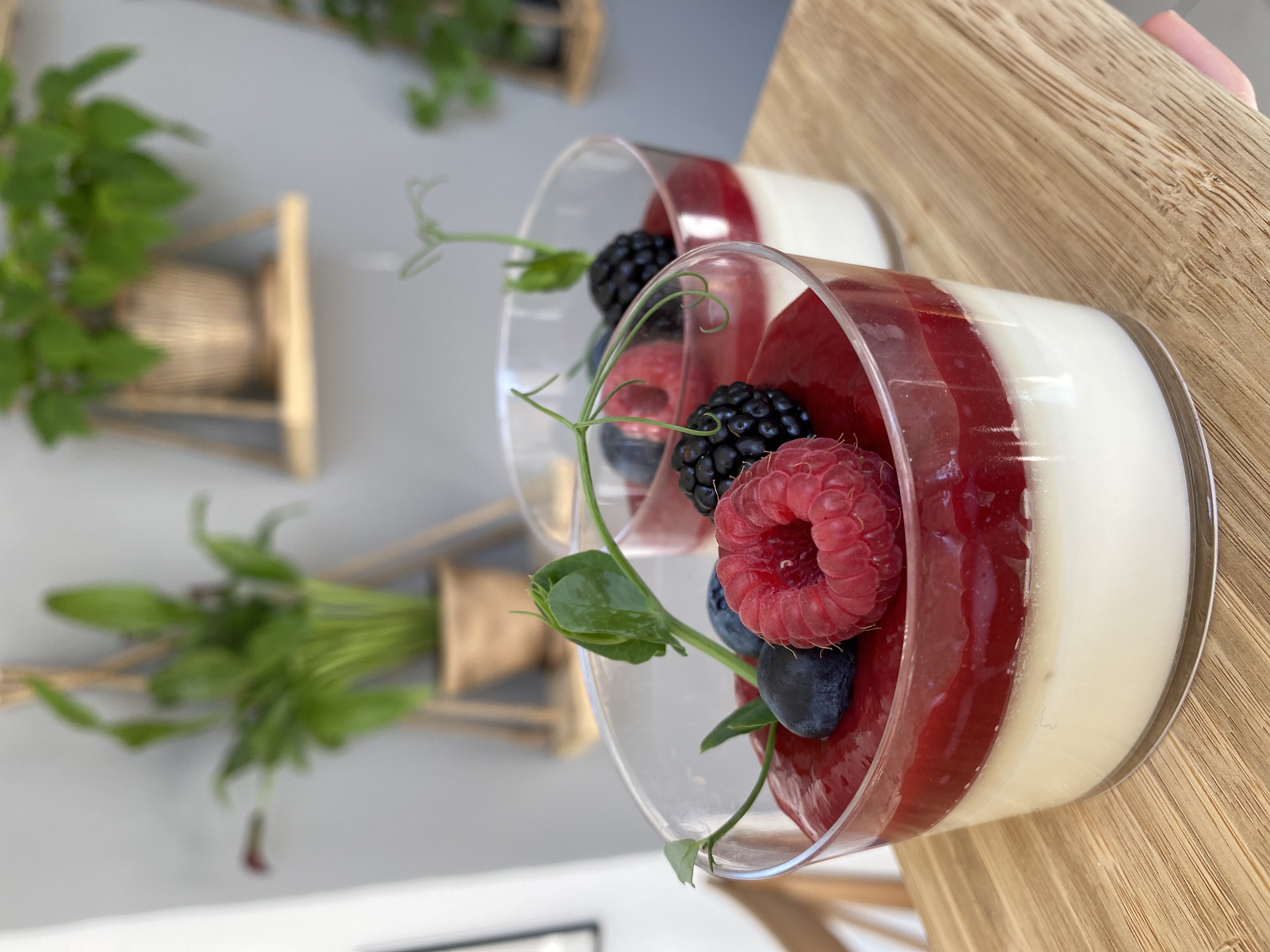 Panna Cotta